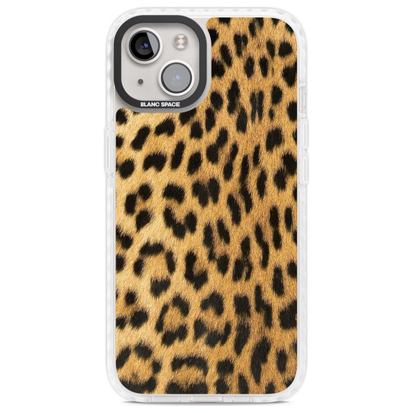 Savannah Leopard