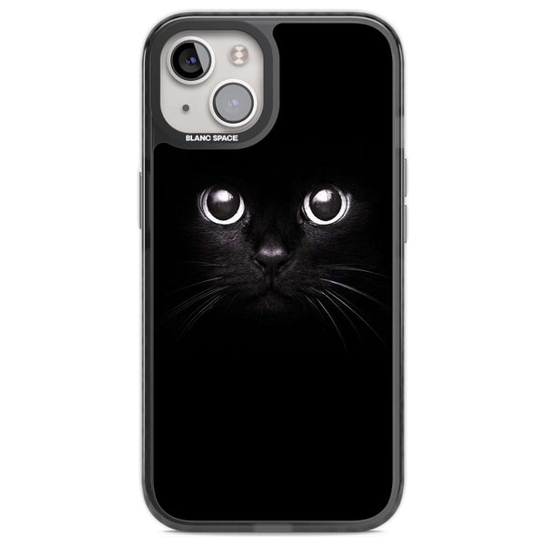 Black Cat