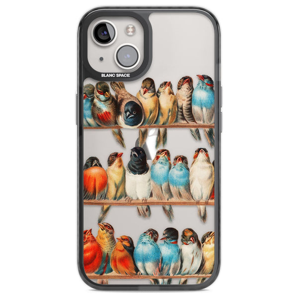 A Perch Of Birds