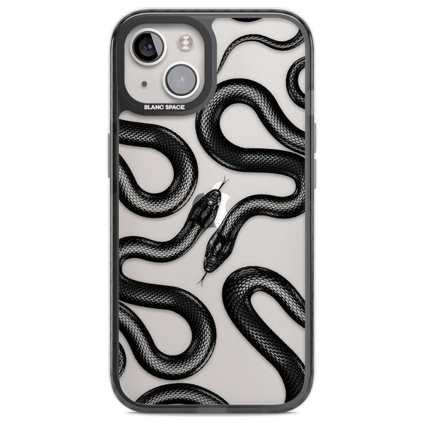 Black Kingsnake