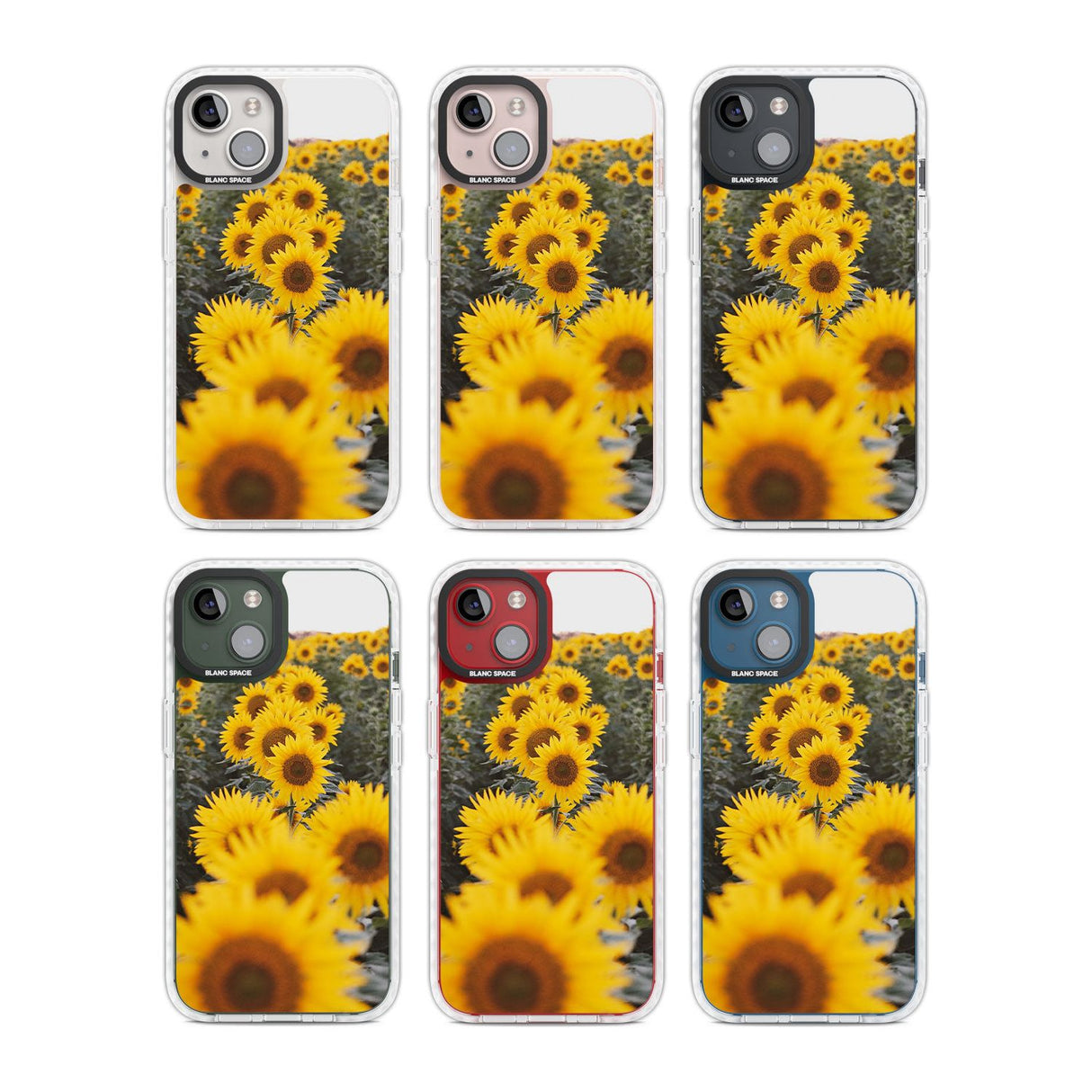 Sunflower Field Photograph