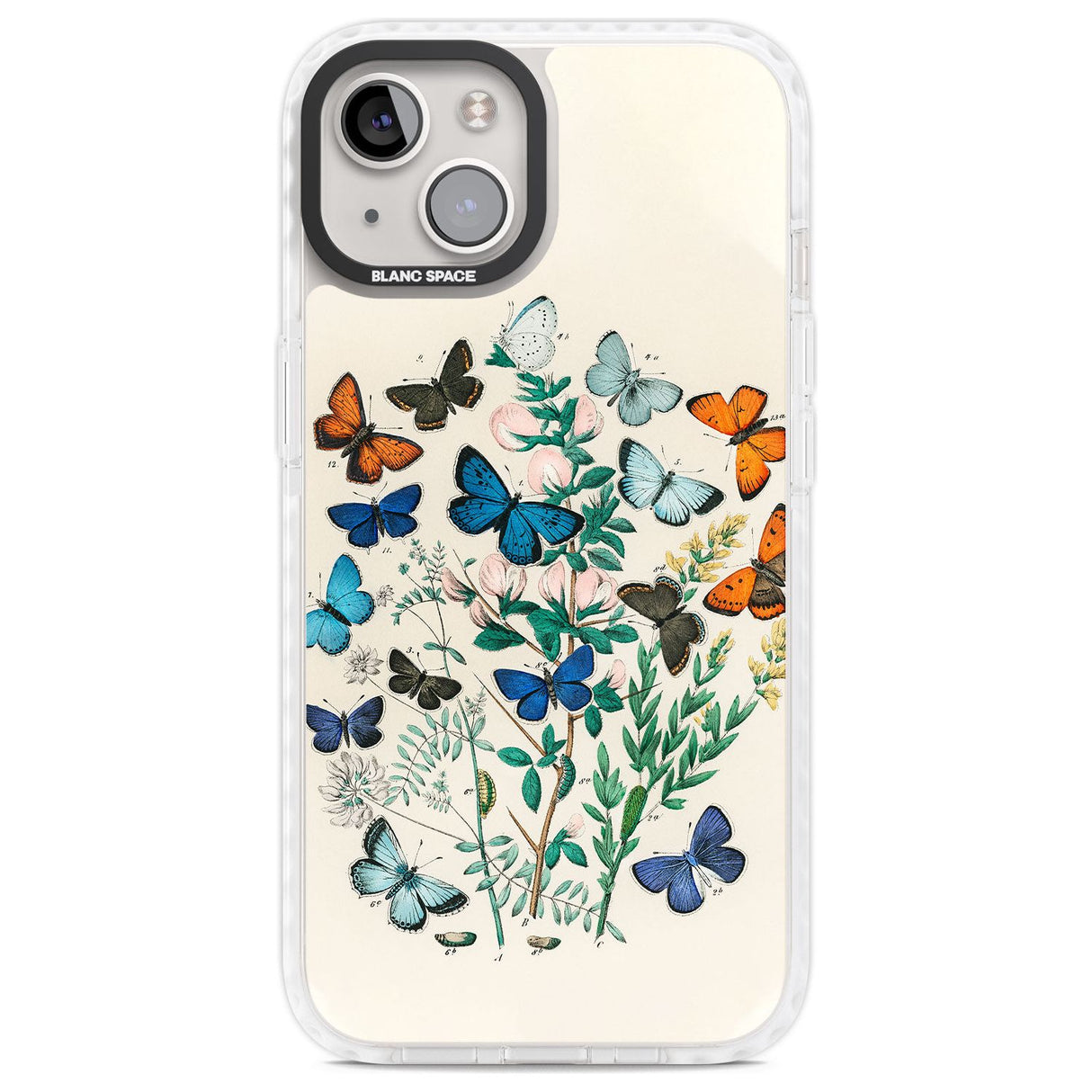 European Butterflies Phone Case iPhone 13 / Impact Case,iPhone 14 / Impact Case,iPhone 15 Plus / Impact Case,iPhone 15 / Impact Case Blanc Space