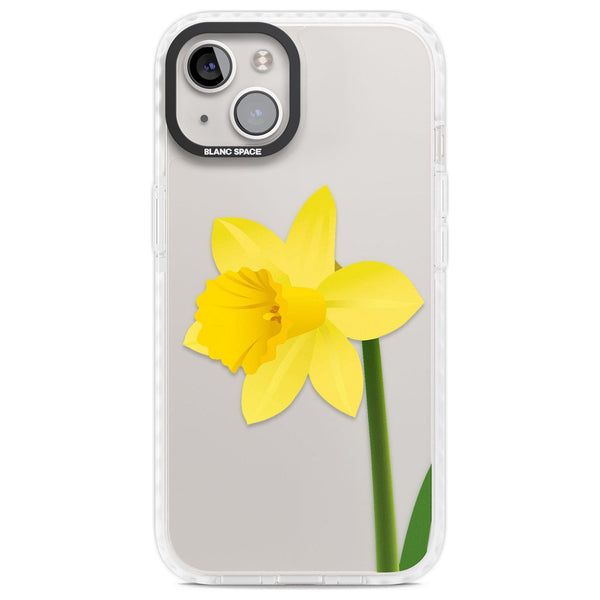 Daffodil
