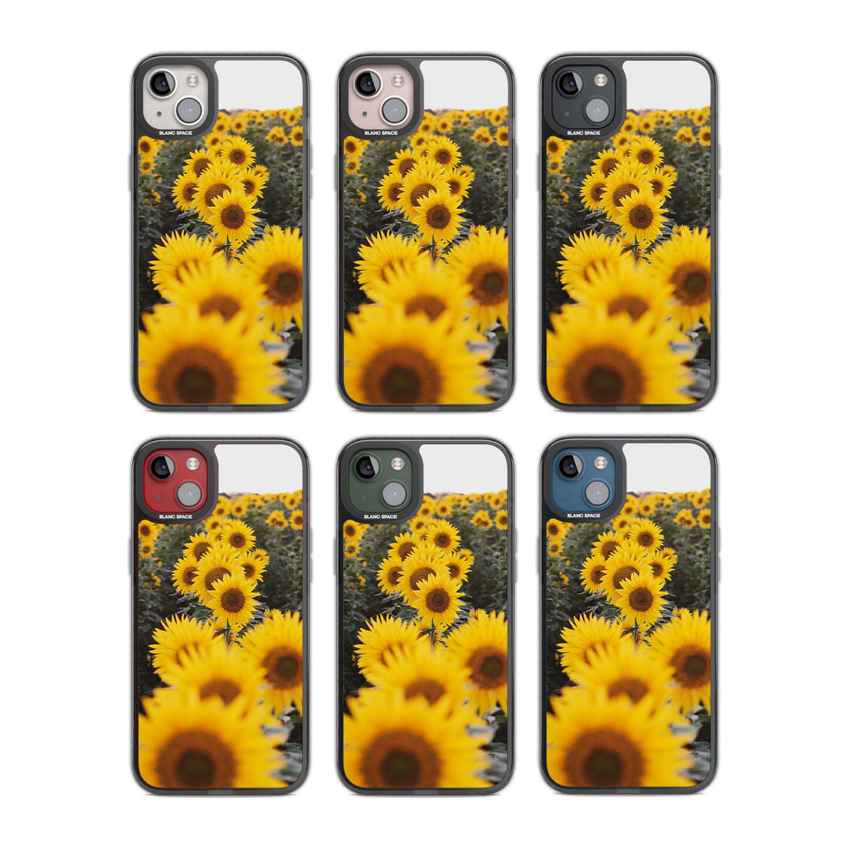 Sunflower Field Photograph