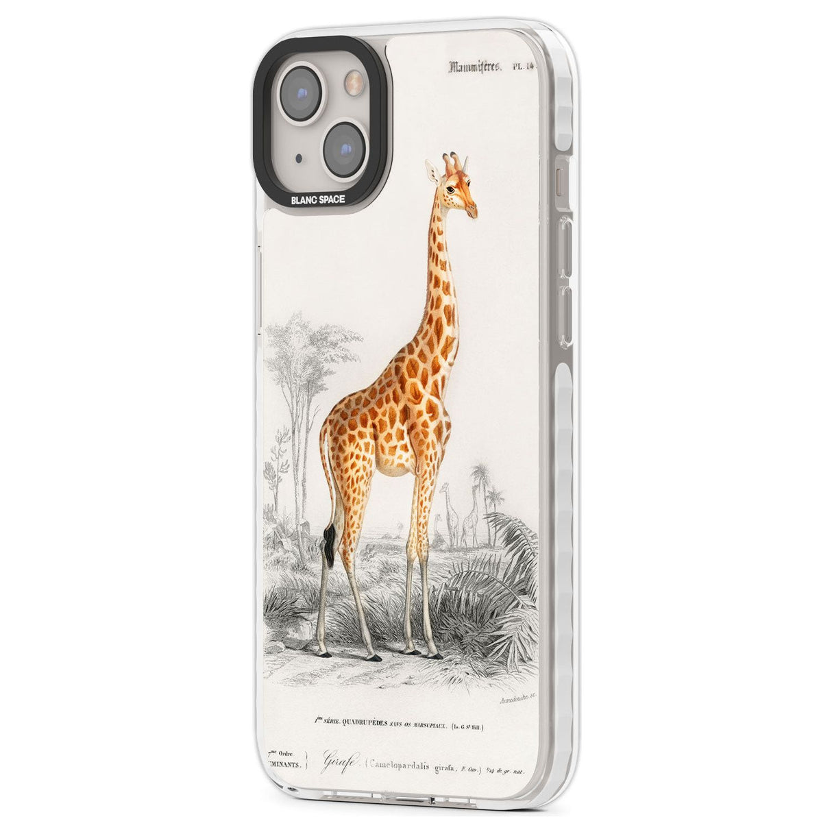 Vintage Girafe Art