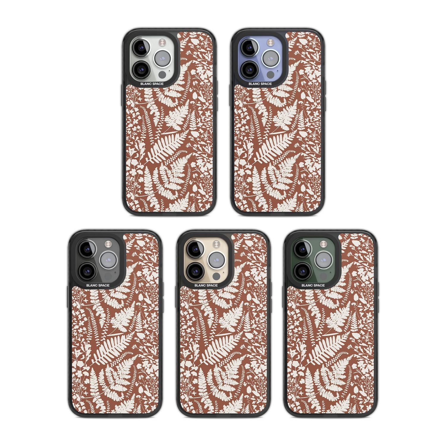 Wildflowers And Ferns On Terracotta