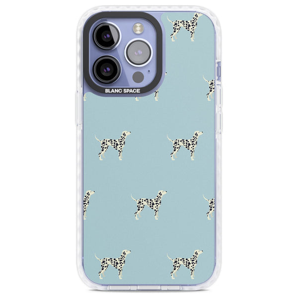 Dalmatian Pattern