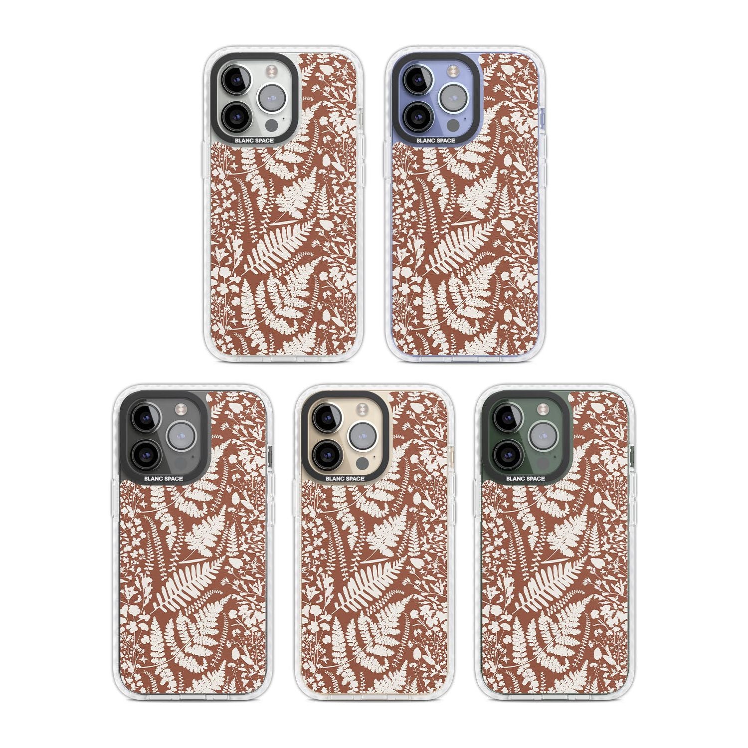 Wildflowers And Ferns On Terracotta