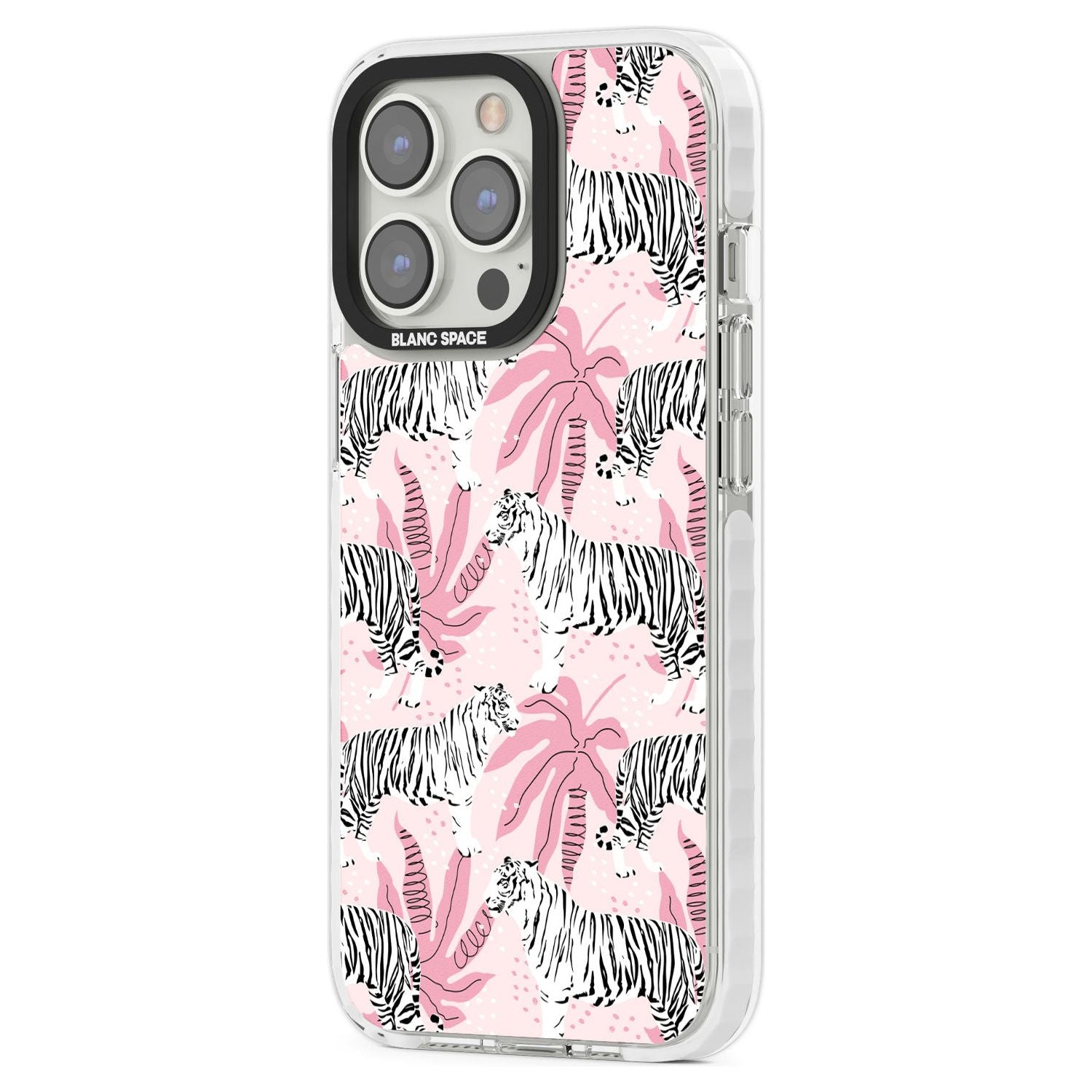 Pink Tiger Palm