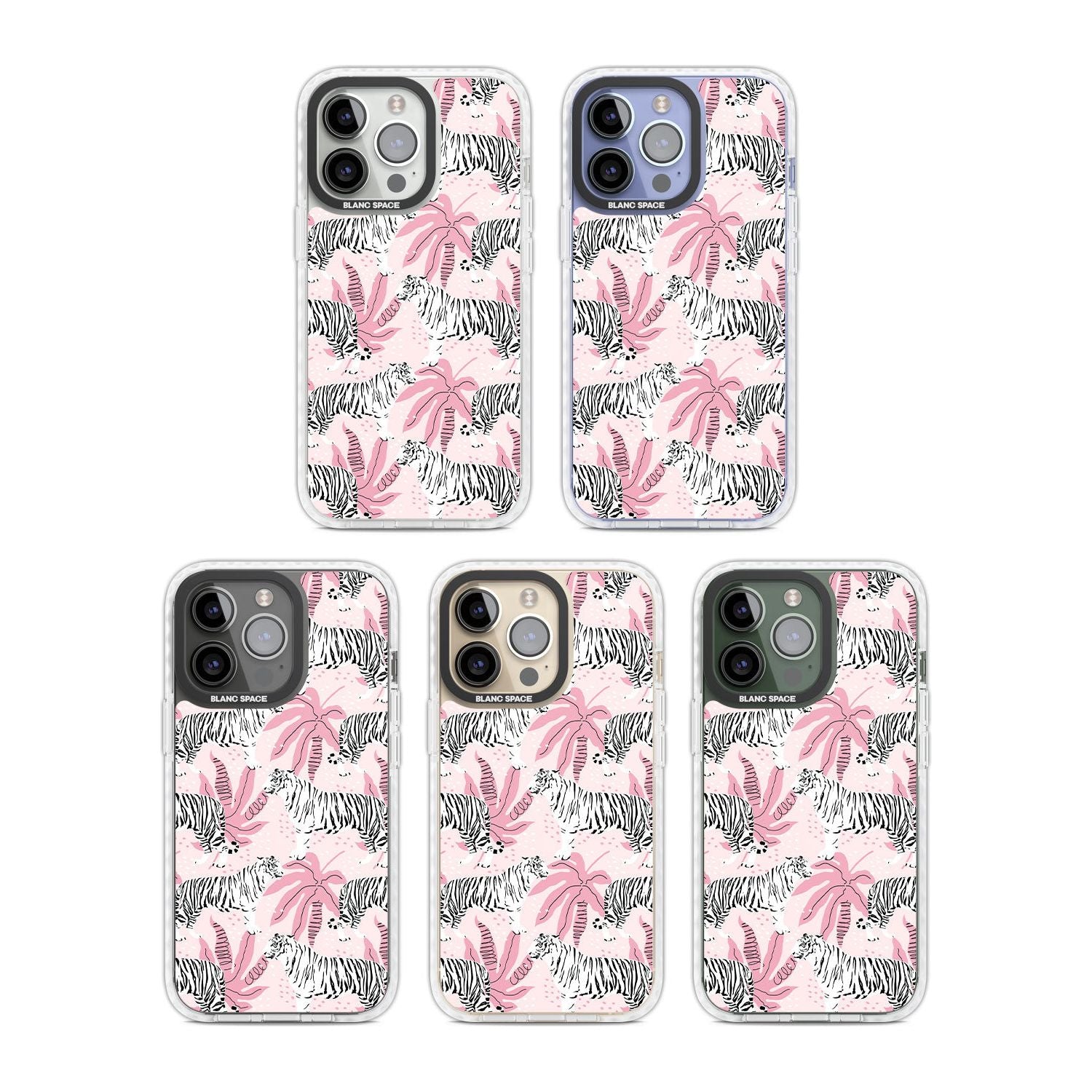 Pink Tiger Palm