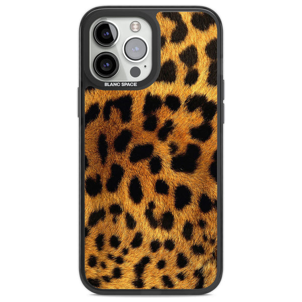 Leopard Print