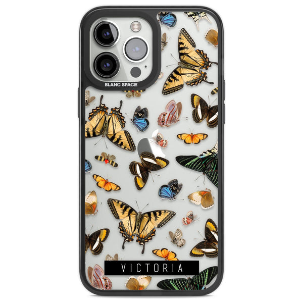 Personalised Butterfly Archive