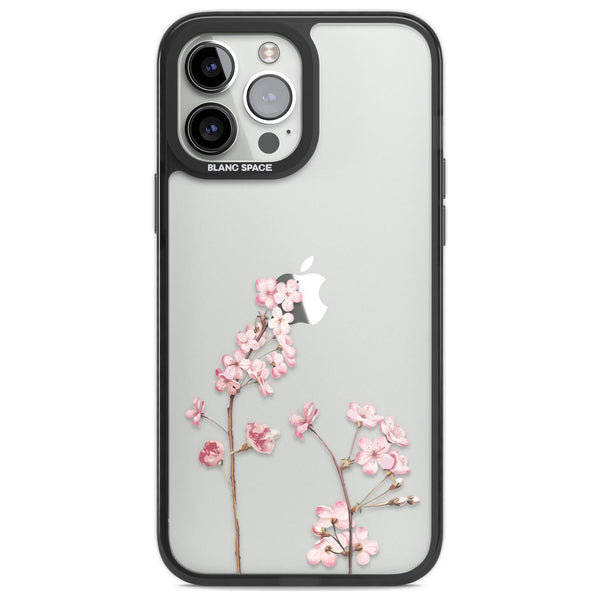 Blossom Flower