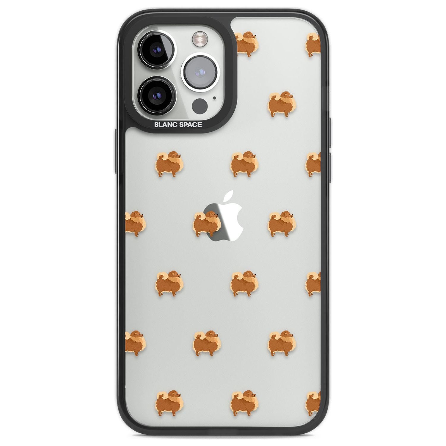 Pomeranian Delight