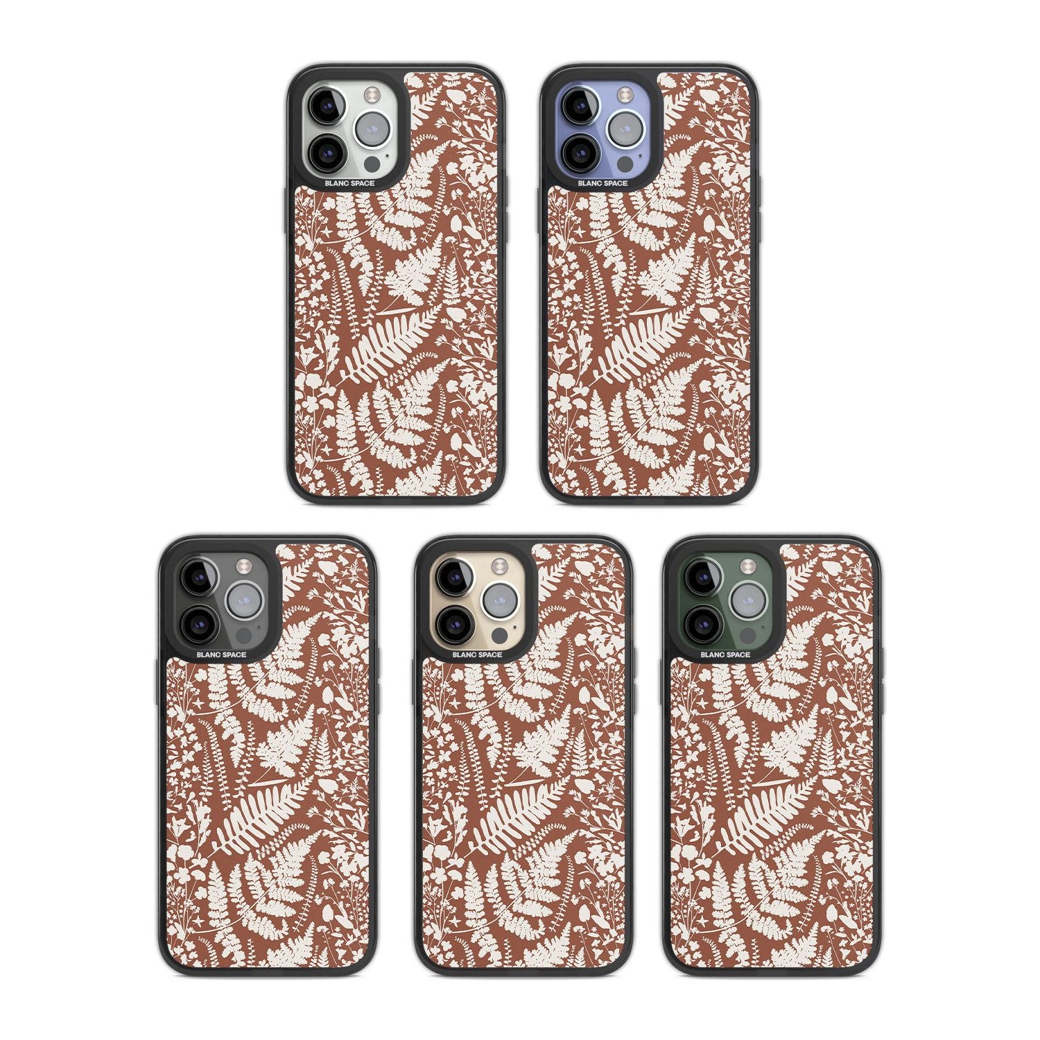Wildflowers And Ferns On Terracotta