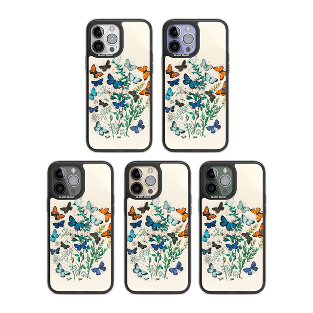 European Butterflies Phone Case iPhone 15 Pro Max / Black Impact Case,iPhone 15 Plus / Black Impact Case,iPhone 15 Pro / Black Impact Case,iPhone 15 / Black Impact Case,iPhone 15 Pro Max / Impact Case,iPhone 15 Plus / Impact Case,iPhone 15 Pro / Impact Case,iPhone 15 / Impact Case,iPhone 15 Pro Max / Magsafe Black Impact Case,iPhone 15 Plus / Magsafe Black Impact Case,iPhone 15 Pro / Magsafe Black Impact Case,iPhone 15 / Magsafe Black Impact Case,iPhone 14 Pro Max / Black Impact Case,iPhone 14 Plus / Black 