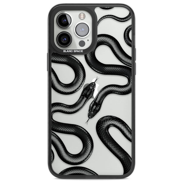 Black Kingsnake