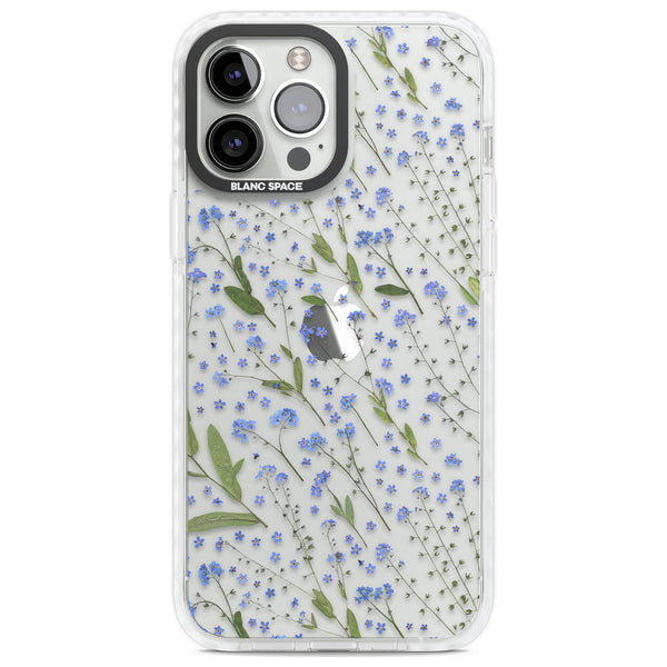 Blue Meadow