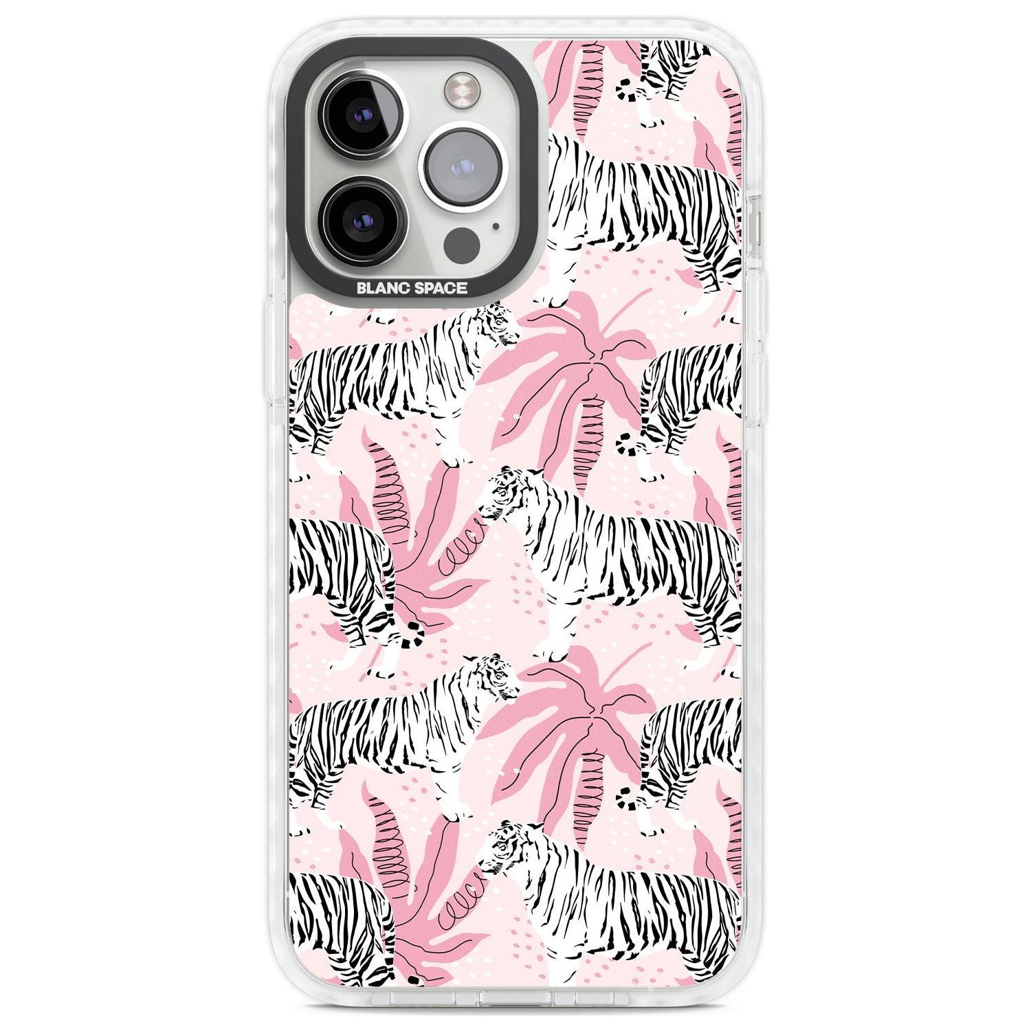 Pink Tiger Palm