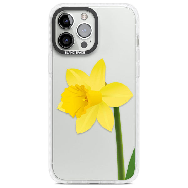Daffodil