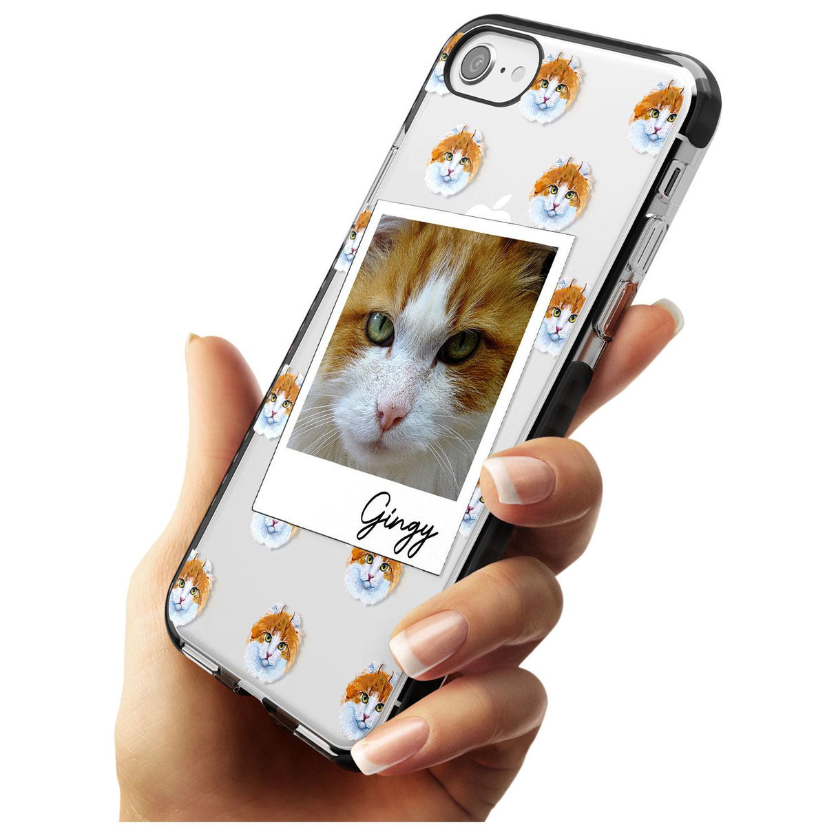 Personalised American Curl Photo Black Impact Phone Case for iPhone SE 8 7 Plus