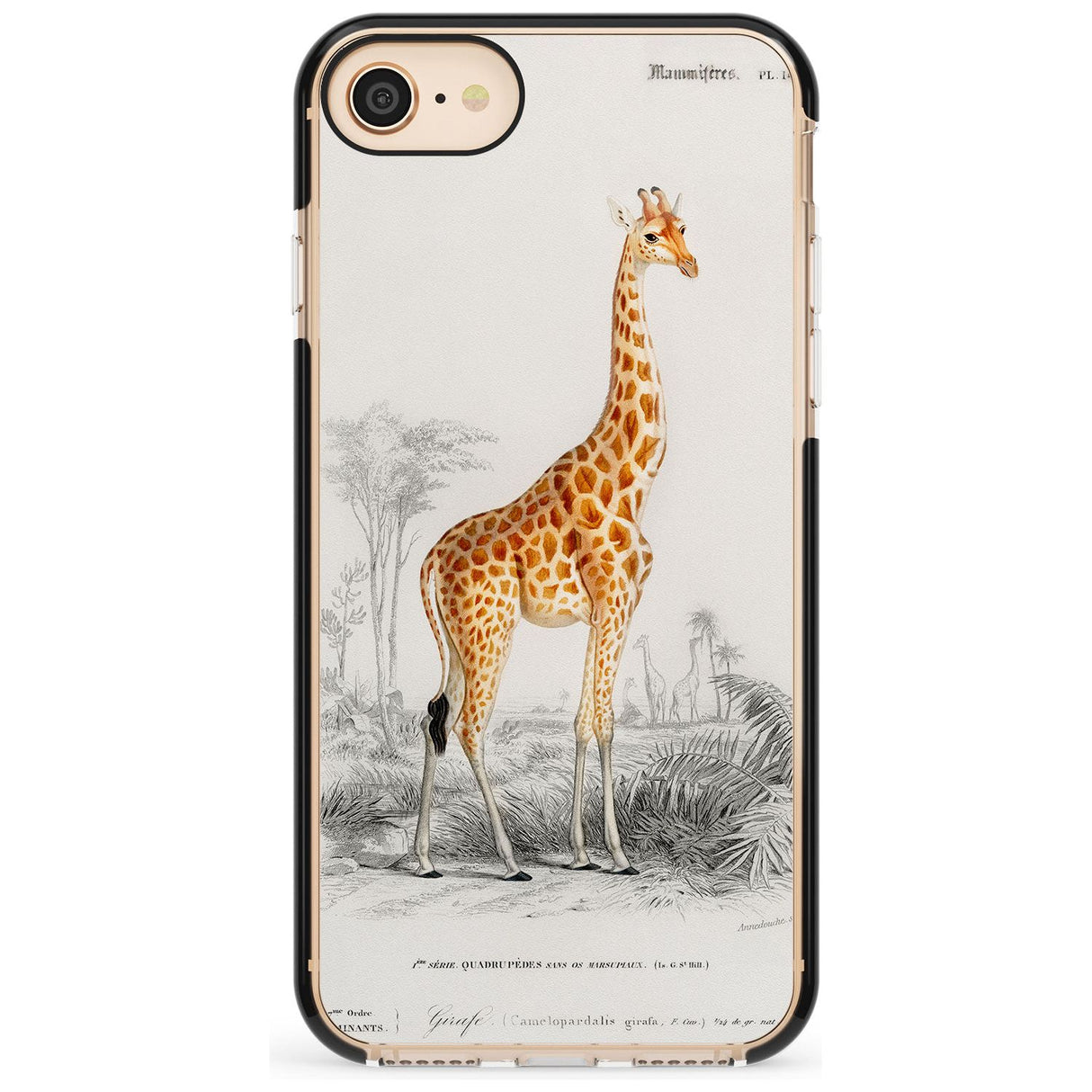 Vintage Girafe Art Black Impact Phone Case for iPhone SE 8 7 Plus