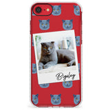 Personalised English Blue Cat Photo Impact Phone Case for iPhone SE 8 7 Plus