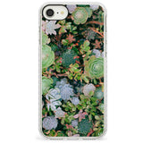 Colourful Succulents Photograph Impact Phone Case for iPhone SE 8 7 Plus