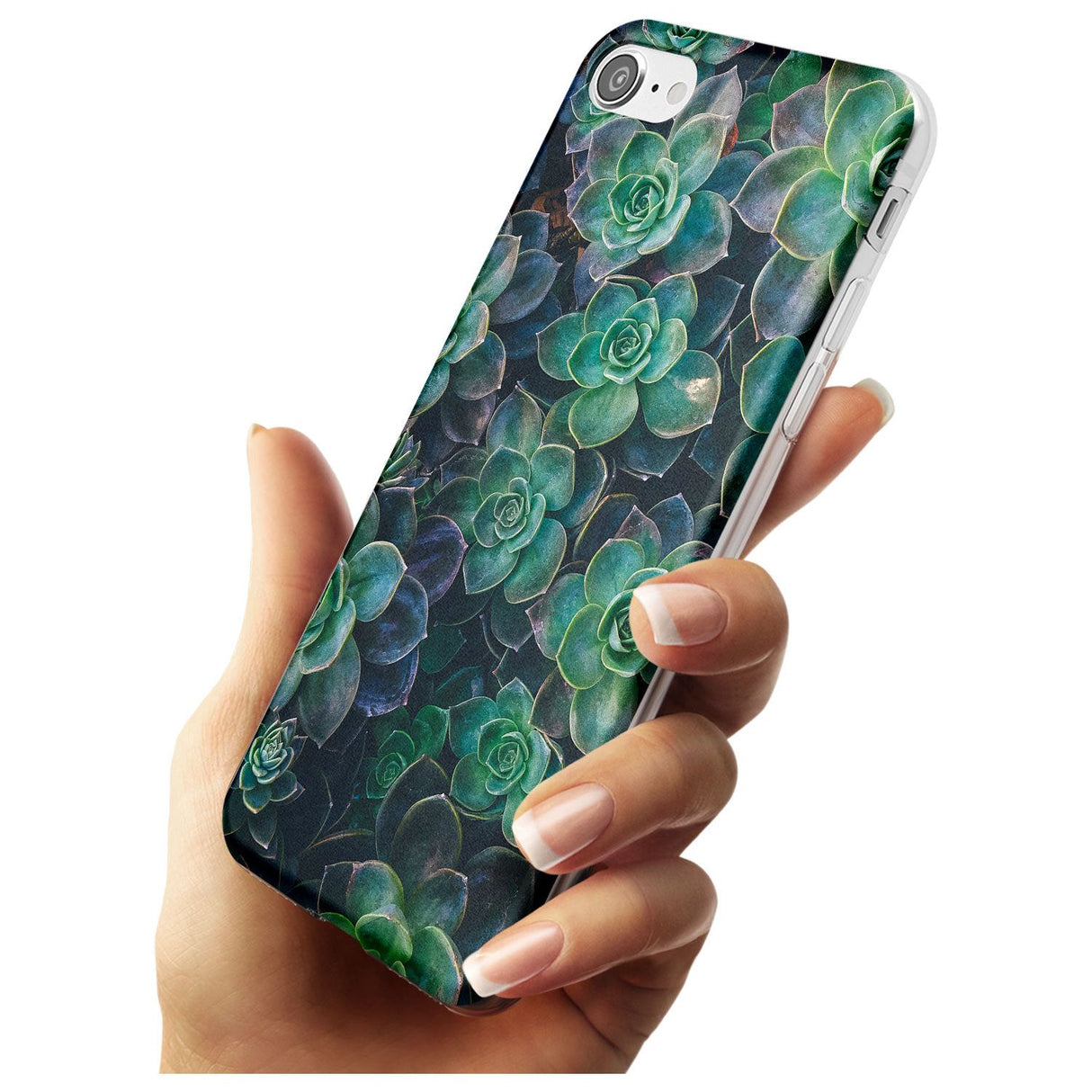 Succulents - Real Botanical Photographs Slim TPU Phone Case for iPhone SE 8 7 Plus