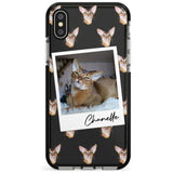 Personalised Abyssinian Cat Photo Black Impact Phone Case for iPhone X XS Max XR